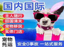 无锡机场快递国际宠物托运 【国